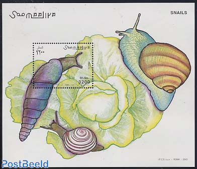 Snails s/s