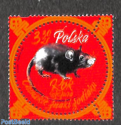 Year of the rat 1v