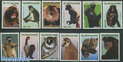 Primates 12v
