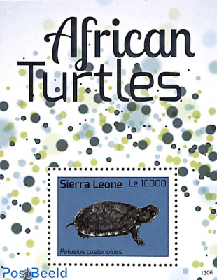 African turtles s/s