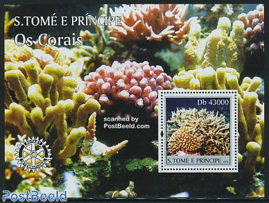 Corals s/s