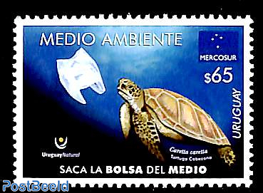 Turtles, Mercosur 1v
