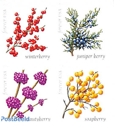 Winter berries 2x4v double-sided