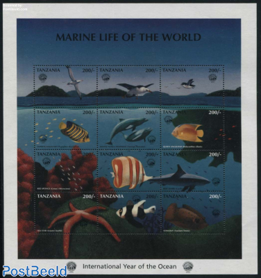 Int. Ocean year 12v m/s