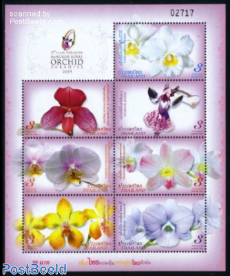 Siam Pragon Orchid Paradise 7v m/s