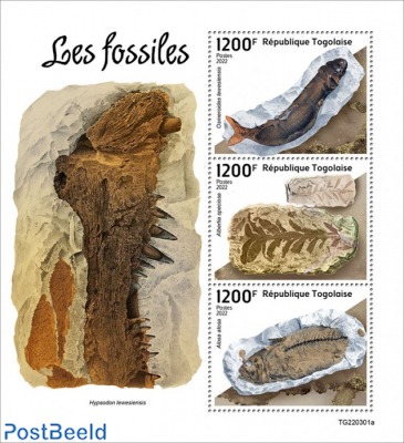 Fossils