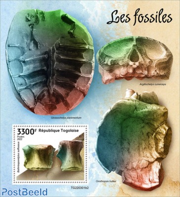 Fossils