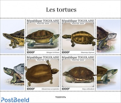 Turtles