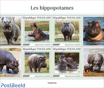 Hippos