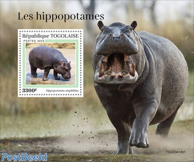 Hippos