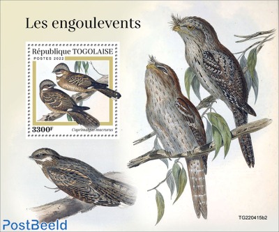 Nightjars
