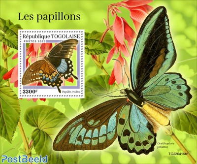 Butterflies