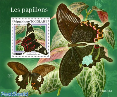 Butterflies