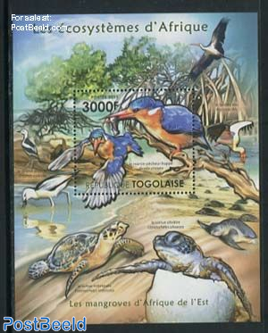 Ecosystem, Kingfishers s/s