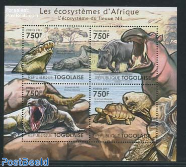 African Eco Systems, Nile 4V m/s