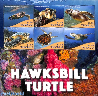 Hawksbill Turtle 6v m/s