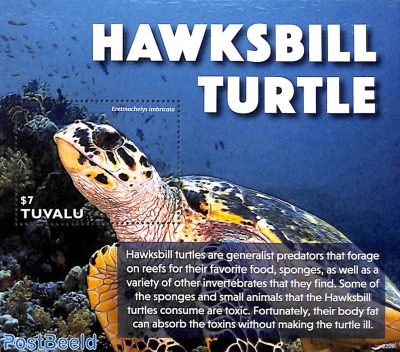 Hawksbill Turtle s/s