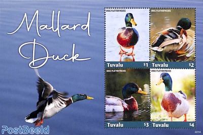 Mallard Duck 4v m/s