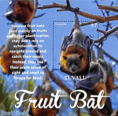 Fruit Bat s/s