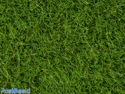 Wild Grass, bright green, 6 mm