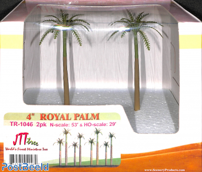 Royal Palm (2 pieces, 4 inch)