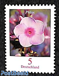 Definitive, Phlox 1v