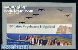 Bird-watching Heligoland 1v s-a