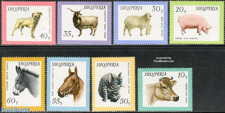 Stamp 1966, Albania Domestic animals 8v, 1966 - Collecting Stamps -  PostBeeld - Online Stamp Shop - Collecting