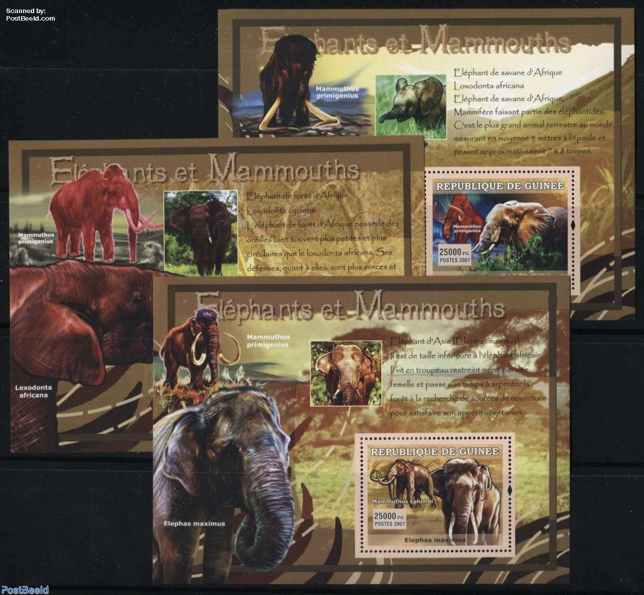 Stamp 2007, Guinea, Republic Elephants & mammoths 3 s/s, 2007 - Collecting  Stamps - PostBeeld - Online Stamp Shop - Collecting