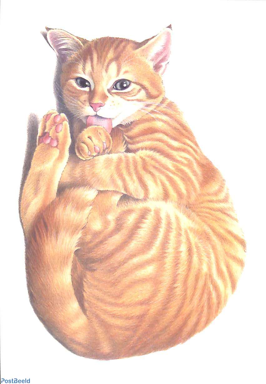 Francien van westering cats discount