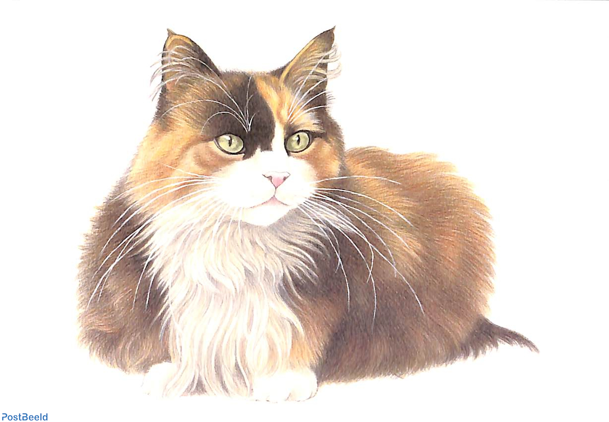 Francien van westering cats sales