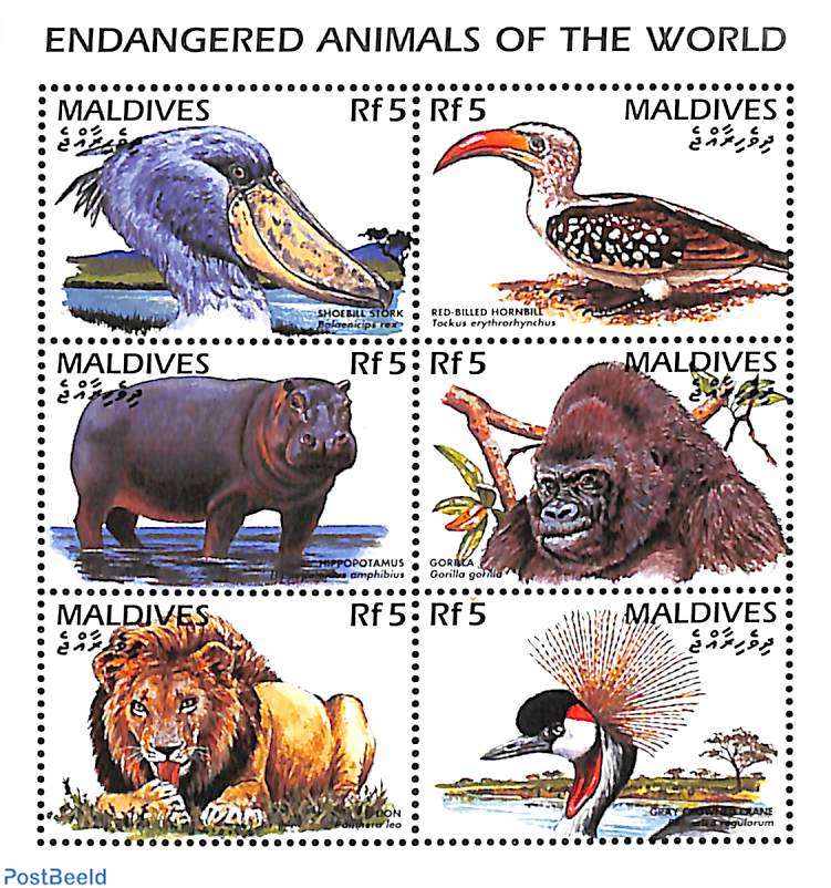 Stamp 1996, Maldives Rare animals 6v m/s, 1996 - Collecting Stamps -  PostBeeld - Online Stamp Shop - Collecting